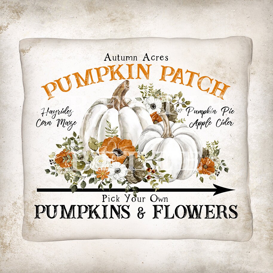 Pumpkin Patch Rustic Fall Farmhouse Home Decor DIY Sign Making Autumn ...