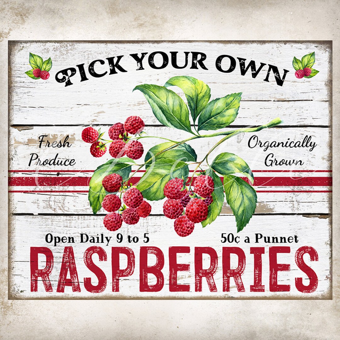 Vintage Farm Style Raspberries Rustic Farmhouse DIY Kitchen Wall Art ...