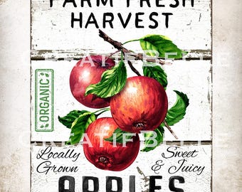 Può includere: Un cartello di legno bianco con il testo "Farm Fresh Harvest" e "Sweet & Juicy Apples" in lettere nere. Il cartello presenta un timbro verde "ORGANIC" e un'illustrazione ad acquerello di tre mele rosse su un ramo con foglie verdi.