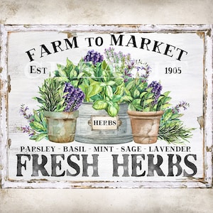 May include: A white wooden sign with distressed paint reads "Farm to Market Est. 1905" and "Fresh Herbs" with a list of herbs: Parsley, Basil, Mint, Sage, Lavender. The sign features a watercolor illustration of potted herbs.