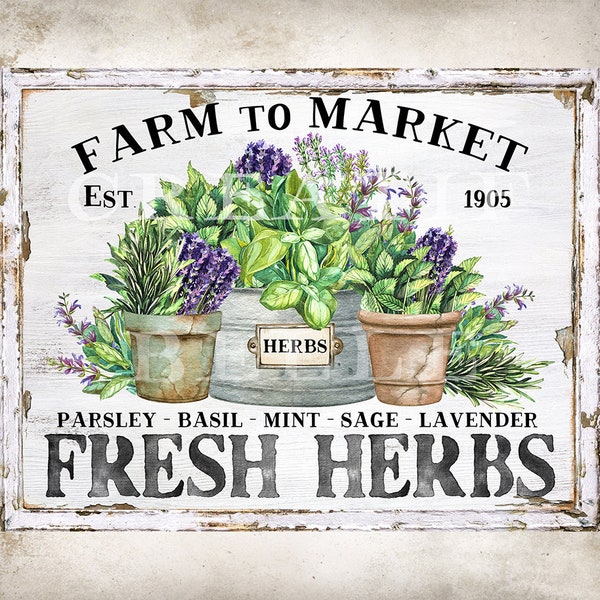Farmhouse Fresh Herbs Kitchen Wall Art DIY Sign Making Basil Lavender Mint Sage Parsley Garden Pots Summer Herbs Instant Digital Print 2482