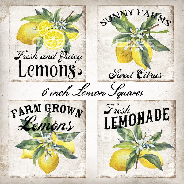 6 INCH Lemon Squares, Summer Wreath Decor Accent Sign, Lemon Tiered Tray Decor Signs, Country Farmhouse Lemon Sign, Digital Print 1995