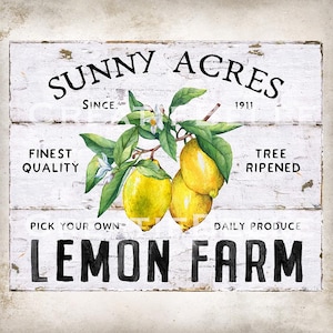 Lemon Farm DIY Sign Modern Farmhouse Lemon Wall Art Summer Fruit Wreath Sign Making Digital Print 2244