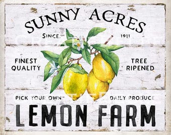 Lemon Farm DIY Sign Modern Farmhouse Lemon Wall Art Summer Fruit Wreath Sign Making Digital Print 2244