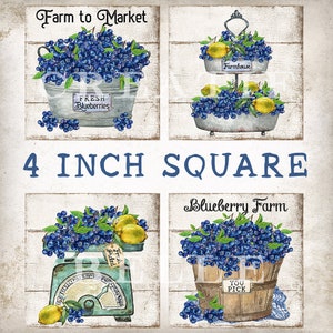 4 inch Blueberry Squares, Tiered Tray Decor, Coaster Transfer, Block Transfer, Farmhouse Blueberries, Digital Print 2539
