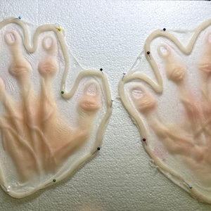 Puede incluir: Dos moldes de manos pálidas, color carne, cada uno con cinco dedos, se muestran uno al lado del otro. Los moldes están delineados con un borde claro y ondulado y asegurados con alfileres de colores. Las manos están detalladas con venas visibles.