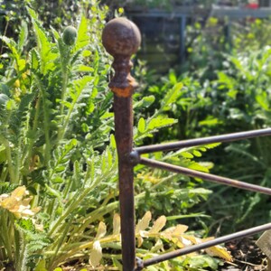 May include: Close-up of a weathered, rusty metal garden fence post with a decorative ball finial. The post is surrounded by lush green foliage and yellowing leaves, suggesting a garden setting. The fence has a simple, geometric design.