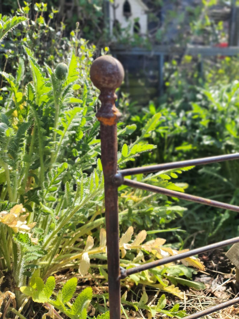 May include: Close-up of a weathered, rusty metal garden fence post with a decorative ball finial. The post is surrounded by lush green foliage and yellowing leaves, suggesting a garden setting. The fence has a simple, geometric design.
