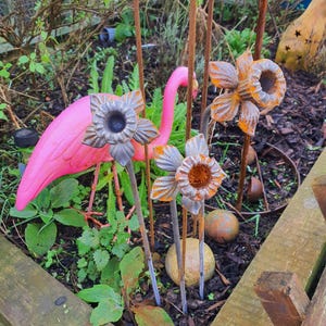 Rusty Steel Garden sculpture daffodil, plant support or decorative item