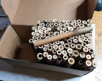 bug hotel bamboo sticks for making insect houses , Crafting ...steel mesh  also available