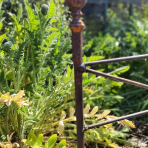 May include: A close-up of a section of a weathered, rusty metal garden fence. The fence has a decorative top with a ball finial. Green foliage and plants surround the fence, creating a natural backdrop.