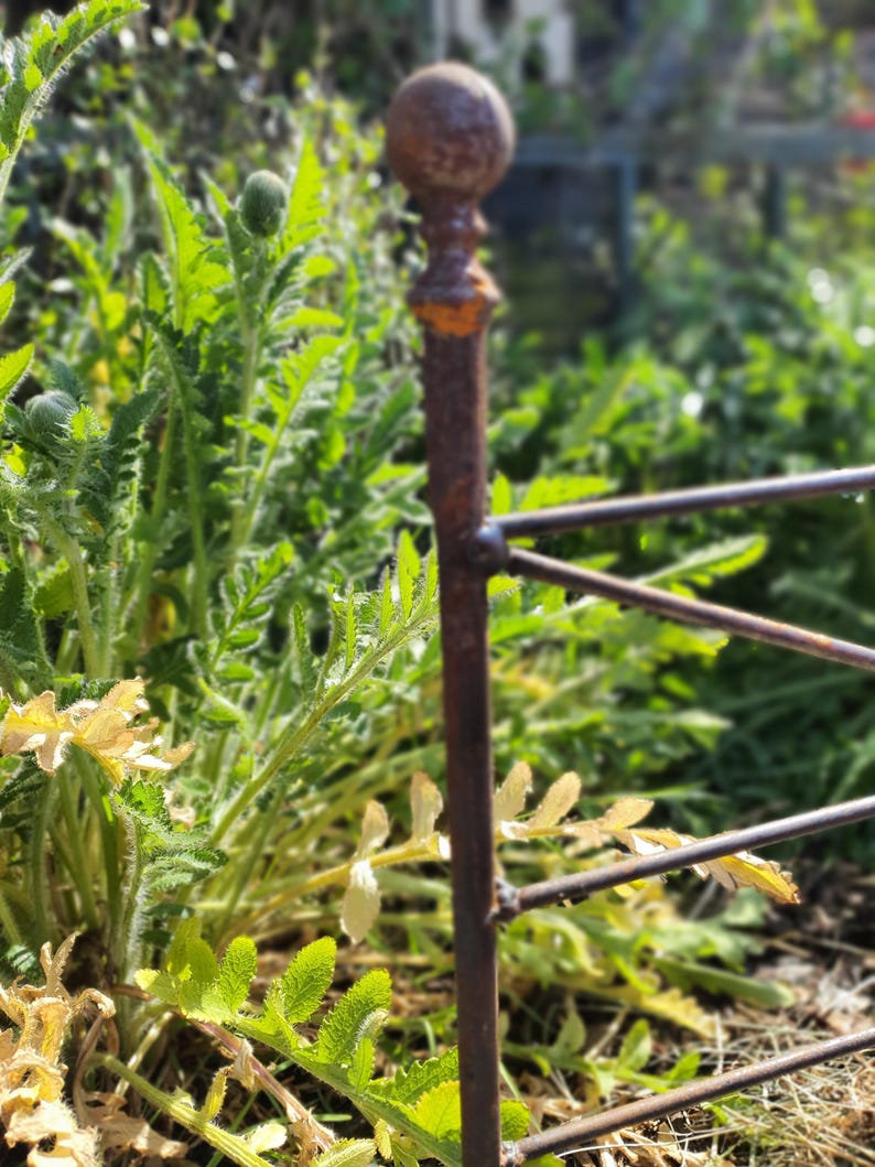 May include: A close-up of a section of a weathered, rusty metal garden fence. The fence has a decorative top with a ball finial. Green foliage and plants surround the fence, creating a natural backdrop.