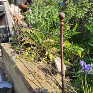 May include: A rustic metal garden fence with a weathered appearance, featuring horizontal bars and decorative finials. The fence encloses a raised wooden planter filled with lush green plants and a small birdhouse. A metal bucket is visible in the foreground.