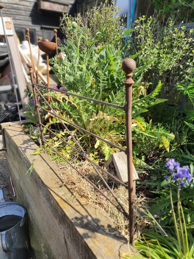 May include: A rustic metal garden fence with a weathered appearance, featuring horizontal bars and decorative finials. The fence encloses a raised wooden planter filled with lush green plants and a small birdhouse. A metal bucket is visible in the foreground.