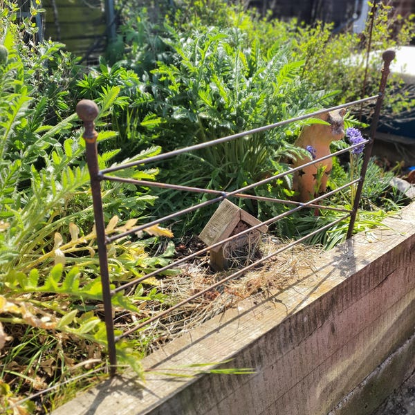 Borde de jardín o valla/valla para mascotas de acero oxidado de 0,8 m