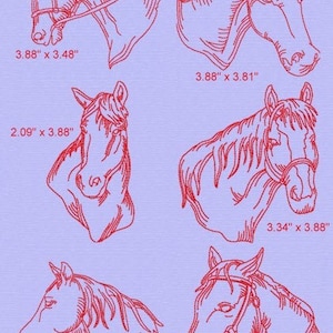 May include: Six red line drawings of horse heads, each with a different pose and bridle. The drawings are on a light purple background. The dimensions of each drawing are listed below each image in inches.