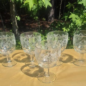 Ensemble de (5) verres à eau Bartlett Collins Grapes & Leaves gravés avec bords dorés