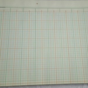 Wilson Jones GREEN Multiplex Columnar Ruled Ledger Paper 66 Sheets Size 11 x 17"