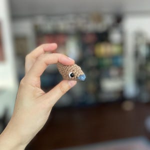Mini Blue Tongue Skink Sprite Pattern