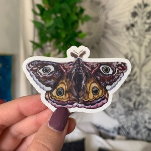 Vinyl Moth Sticker