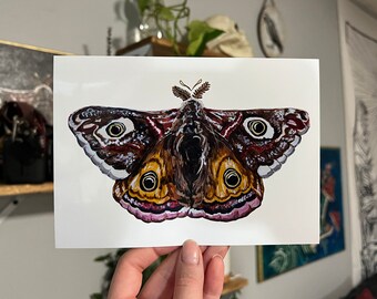 Moth Art Print / Glossy Art Print / 5x7
