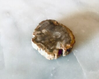 Lovely Palm Tree Petrified Wood Carved into Heart Polished 44mm 155ct Natural Fossilized Palmoxylon Agate Gemstone Crystal Mineral Specimen