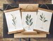 Eucalyptus olive magnolia prints/tree branch print set/botanical wall art/canvas art print/wall art/home decor 
