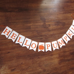 Hello pumpkin banner, pumpkin bunting, fall photo prop