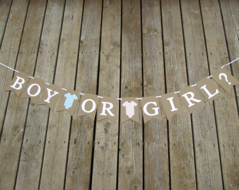 Boy or girl? banner, gender reveal banner, baby shower decor