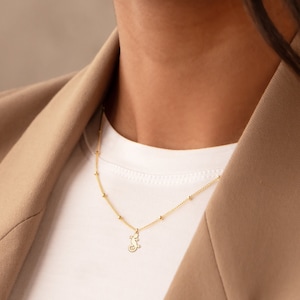 Collar con dije de geco, joyería de lagarto, collar de reptil, joyería de animales, colgante de geco, joyería de reptil, dije de lagarto