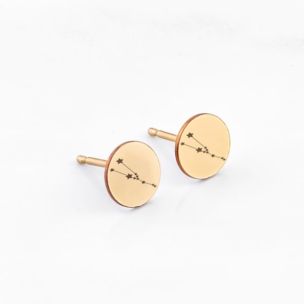 Zodiac Stud Earrings • Zodiac Earrings • Zodiac Jewelry • Gold, Rose Gold, Silver Earrings • Stud Earrings • Gift for Her • Cute Earrings