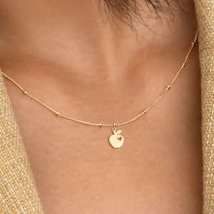 Collar de manzana, pequeño colgante con dije, joyería para maestras, collar de frutas, joyería de manzana, regalo para ella, dije de manzana, regalo para maestra, colgante de fruta