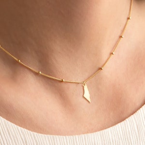 Palestine Map Charm Necklace Heritage Jewelry Palestine Flag Pendant Eid Gift Palestine Necklace Palestine Gift Charm Necklace