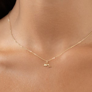 Könnte beinhalten: Eine goldene Kettenkette mit einem kleinen Delfin-Anhänger.