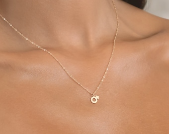 Collar con símbolo de género masculino, regalo para ella, collar con dije, collar de Marte, colgante personalizado, regalo de cumpleaños personalizado, joyería con símbolo masculino
