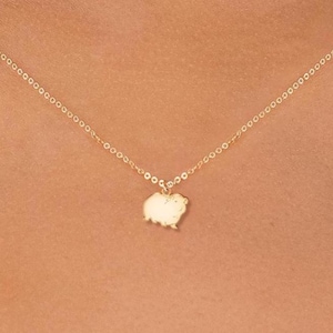 Könnte beinhalten: Eine zarte goldene Halskette mit einem kleinen Anhänger in Form eines Meerschweinchens. Der Anhänger hängt an einer feinen Kette und schafft ein schlichtes und elegantes Accessoire. Die Halskette wird um den Hals getragen.