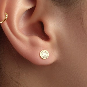 Pisces Zodiac Disc Earrings, Birth-month Symbol Earrings, Zodiac Jewelry, 14k Gold Filled Sterling Silver Earrings, February Zodiac Disc