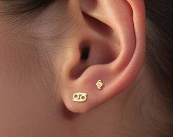 Boucles d'oreilles zodiaque cadeau amoureux astrologie boucles d'oreilles vierge clous d'oreilles signe astrologique boucles d'oreilles symbole astrologique bijoux zodiaque boucles d'oreilles signe du zodiaque