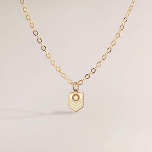 May include: A delicate gold-colored necklace with a small pendant. The pendant is shield-shaped with a star and chevron design. The chain is thin and the necklace is displayed against a soft, neutral background. Jewelry.