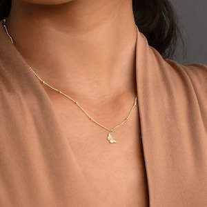 Pode incluir: Um colar de corrente de ouro com um pequeno pingente de borboleta. O colar &eacute; usado por uma pessoa de pele morena e cabelo escuro.