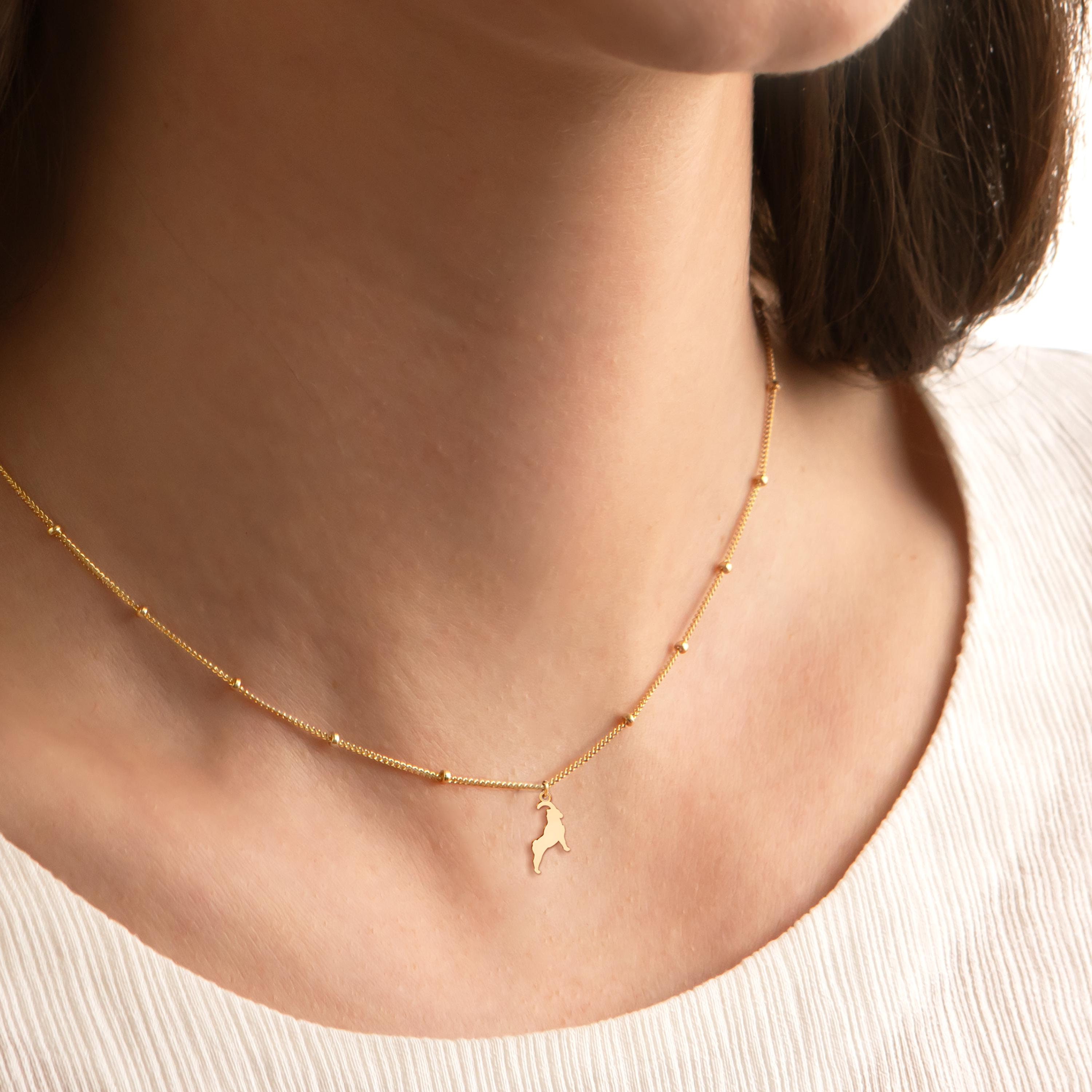 Collana Con Pendente Capra In Acciaio Inox, Placcato Oro 18K, Gioiello Originale DALANE Per Donne E Ragazze