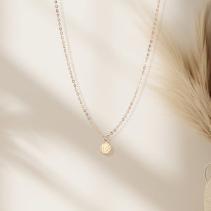 Pu&ograve; includere: Una collana con catena dorata con un piccolo ciondolo a forma di pallavolo.