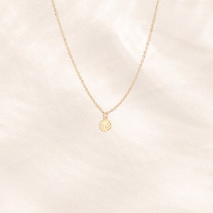 Pu&ograve; includere: Una collana con catena dorata e un piccolo ciondolo a forma di pallavolo.