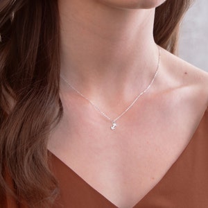 May include: A silver necklace with a small dumbbell pendant. The necklace is worn by a person with brown hair and a brown top.