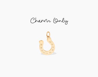 Hoefijzerbedel extra bedel Gelukshanger Cadeau voor haar Lucky Charm Mini hoefijzerhanger Western cowgirl-bedel