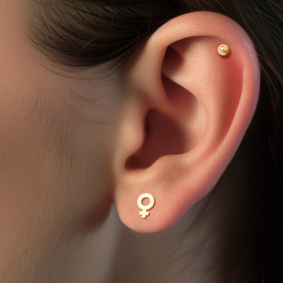 Female Symbol Earrings Stud Gift for Her Feminist Jewelry Woman Earrings Statement Jewelry Female Gender Gift Female Jewelry