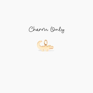 Alligator Charm Add On Charm Crocodile Pendant Gift for Her Reptile Jewelry Florida Gator Animal Lover Charm