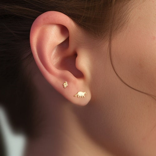 Wasbeeroorbellen, vuilnispanda-oorbel, handgemaakte sieraden, natuursieraden, 14k goldfill, sterlingzilver, 14k rose goldfill, wasbeerstekers