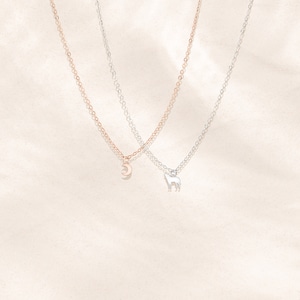 May include: Two delicate necklaces with silver chains. One necklace features a crescent moon pendant, while the other has a small wolf pendant.
