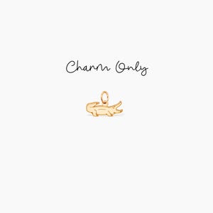 Puede incluir: Encanto de cocodrilo dorado. Charm Only.